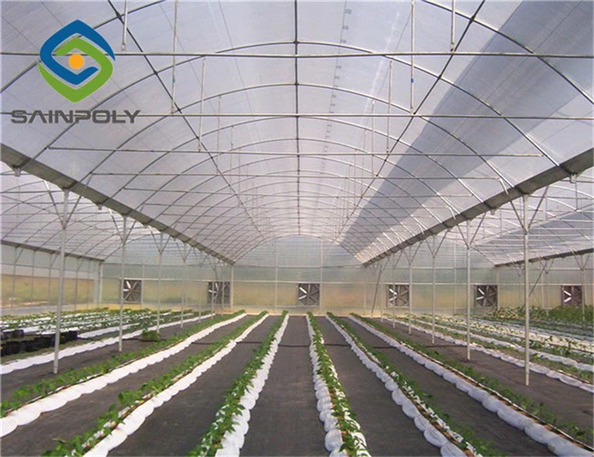 Agricultural Greenhouse Frame