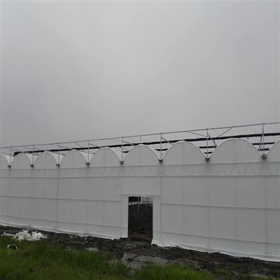 Оранжерия от бяло пластмасово фолио