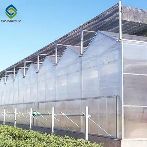 Оранжерия от поликарбонат за домати